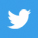twitter icon